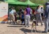 Quirófano móvil en Sarmiento: esterilización y vacunación gratuita para mascotas