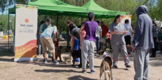 Quirófano móvil en Sarmiento: esterilización y vacunación gratuita para mascotas